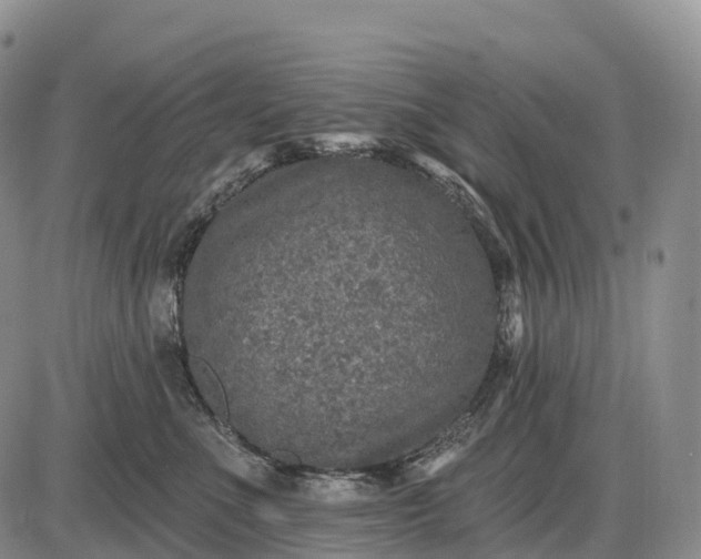 X0000085260523200703231718