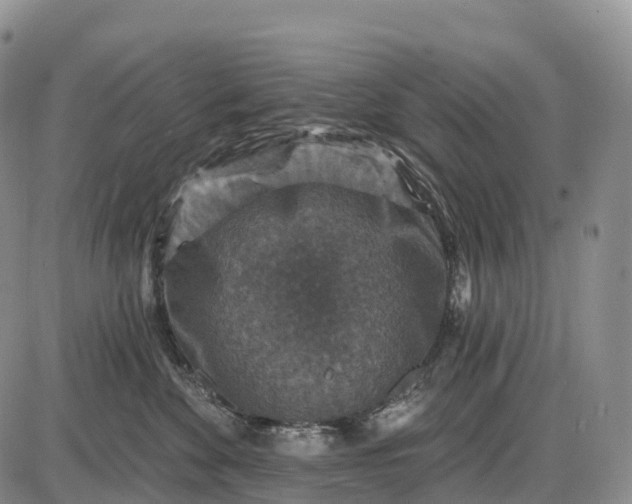 X0000085260524200703231718