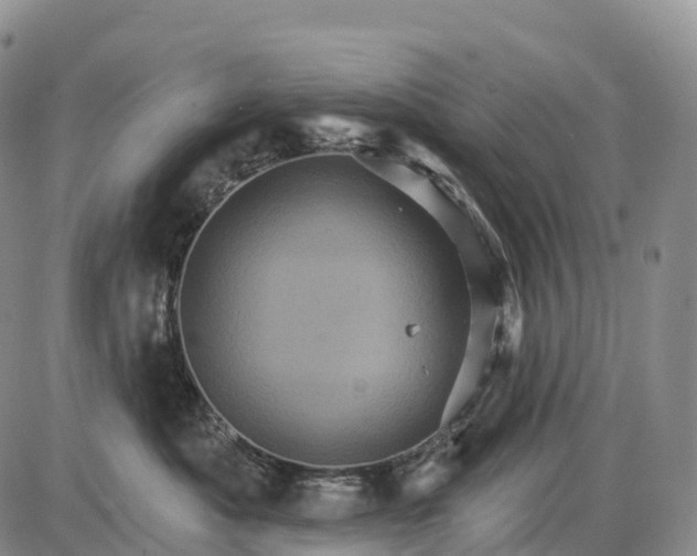 X0000085260525200703231718