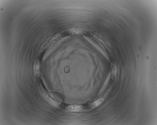 X0000085260526200703231718