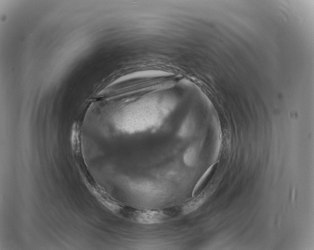 X0000085260527200703231718