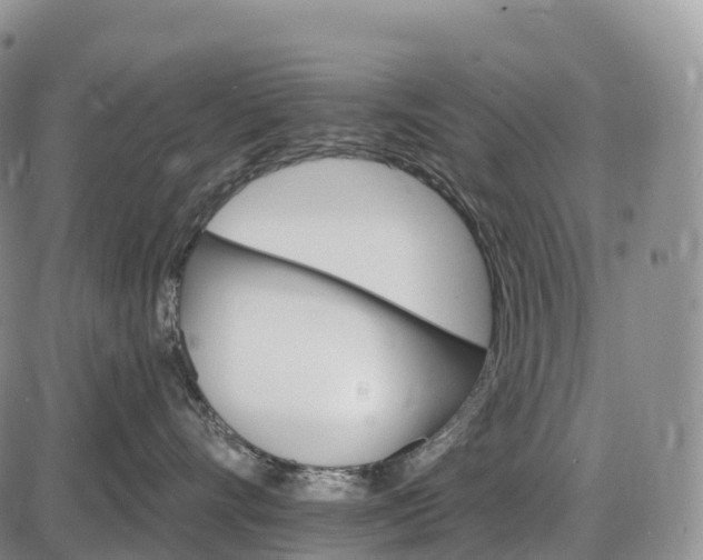 X0000085260528200703231718