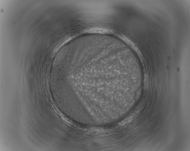 X0000085260529200703231717