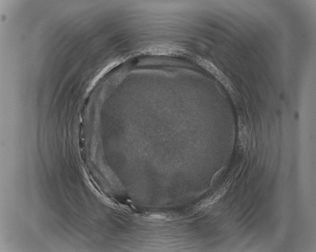 X0000085260530200703231717