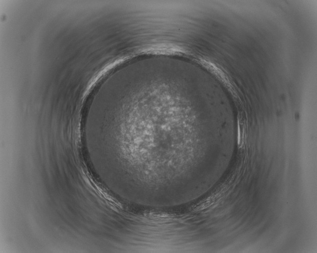 X0000085260531200703231718