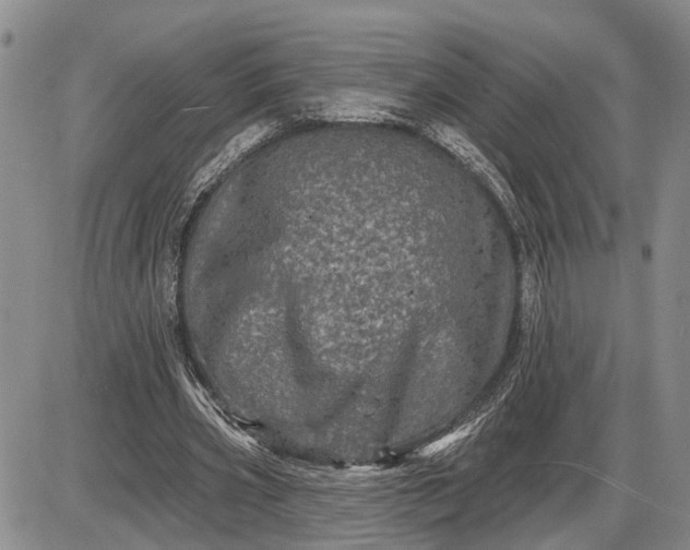 X0000085260533200703231718