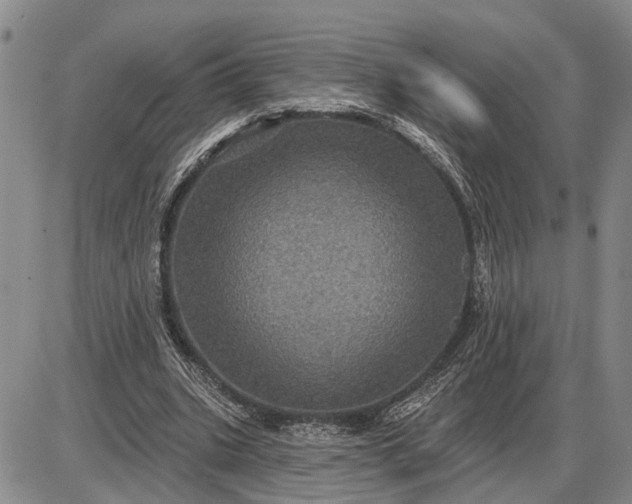 X0000085260535200703231718