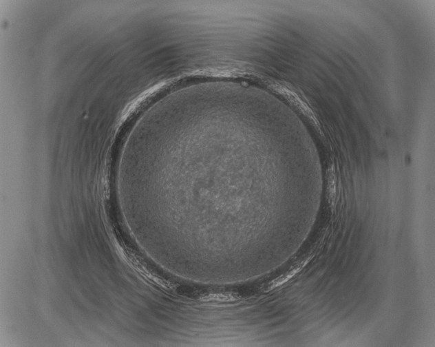 X0000085260536200703231718