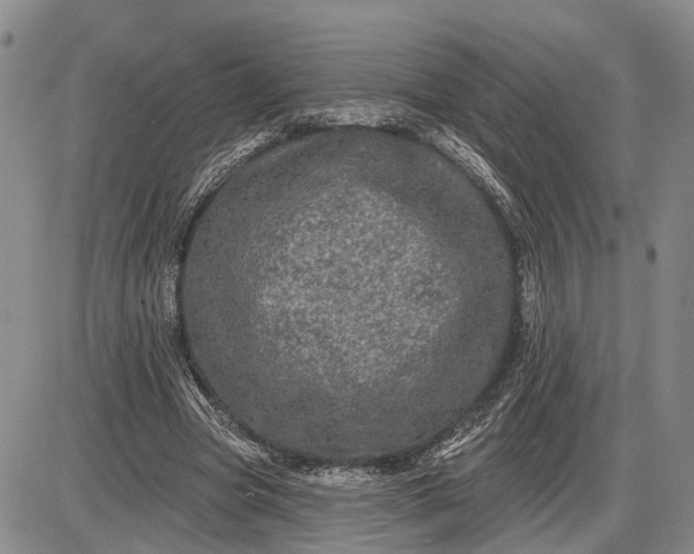 X0000085260537200703231718