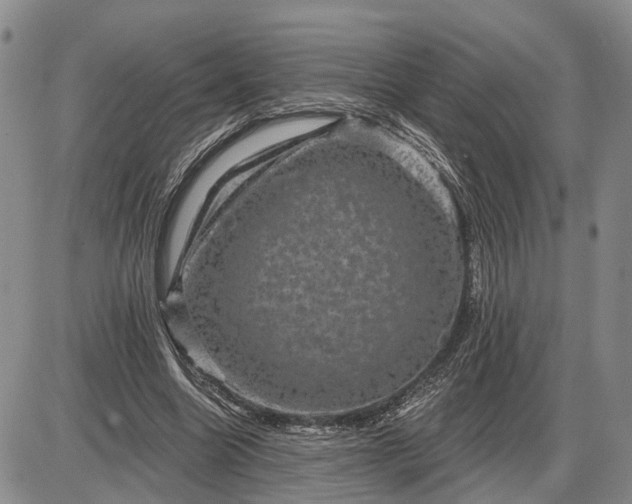 X0000085260538200703231718