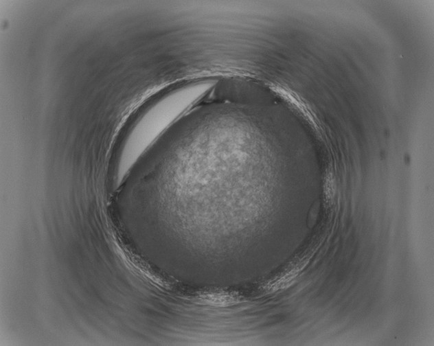 X0000085260540200703231718