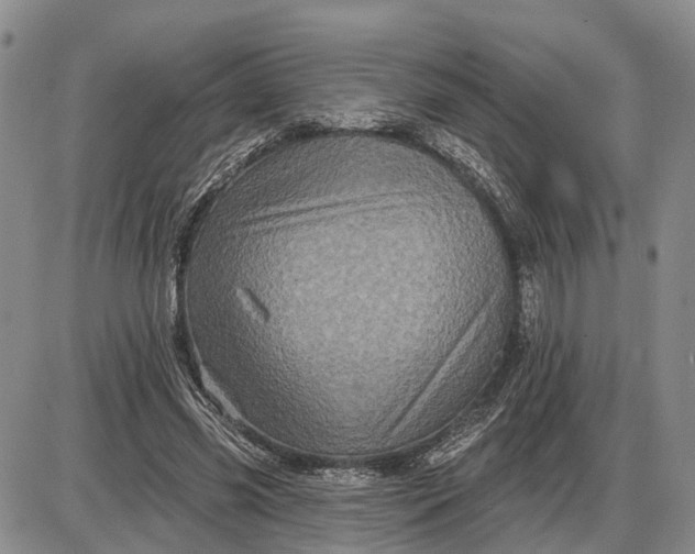 X0000085260541200703231718