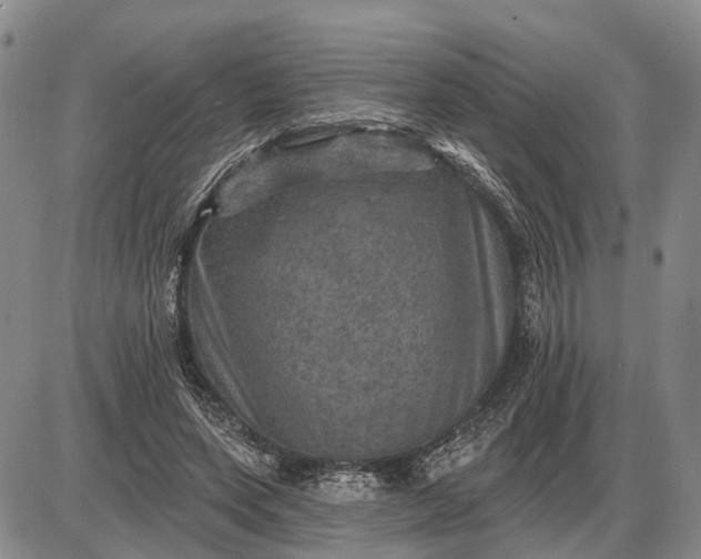 X0000085260543200703231718