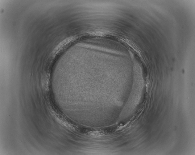 X0000085260544200703231718