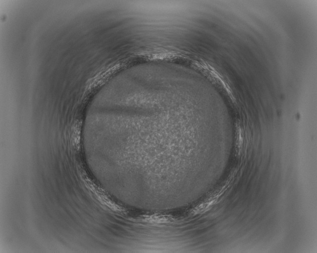 X0000085260545200703231718