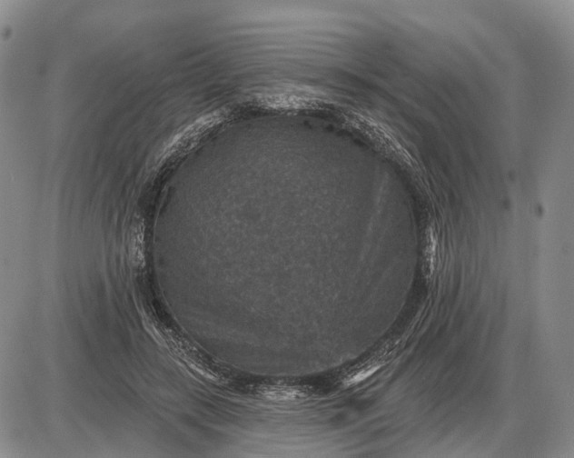 X0000085260547200703231718