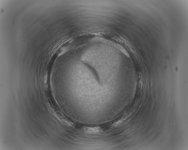 X0000085260548200703231718