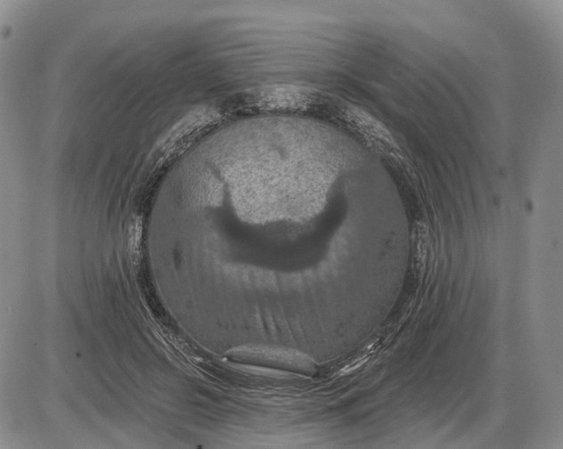 X0000085260550200703231718