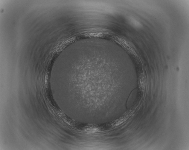 X0000085260551200703231718