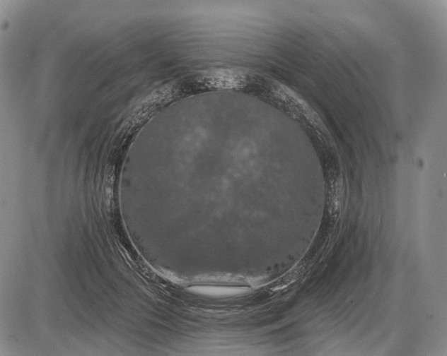 X0000085260553200703231718