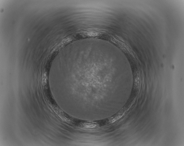 X0000085260555200703231718