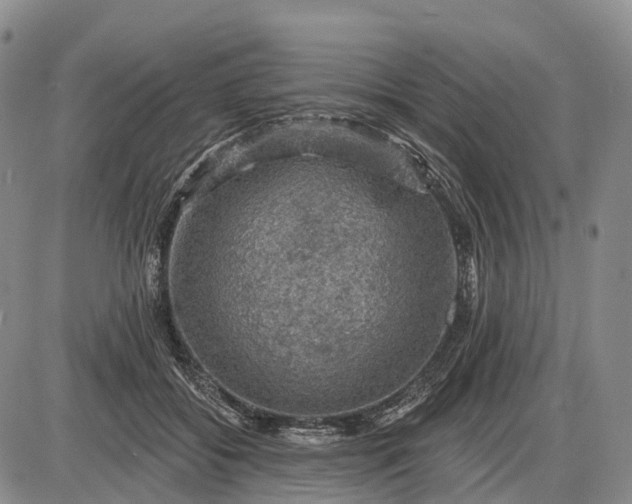 X0000085260556200703231718