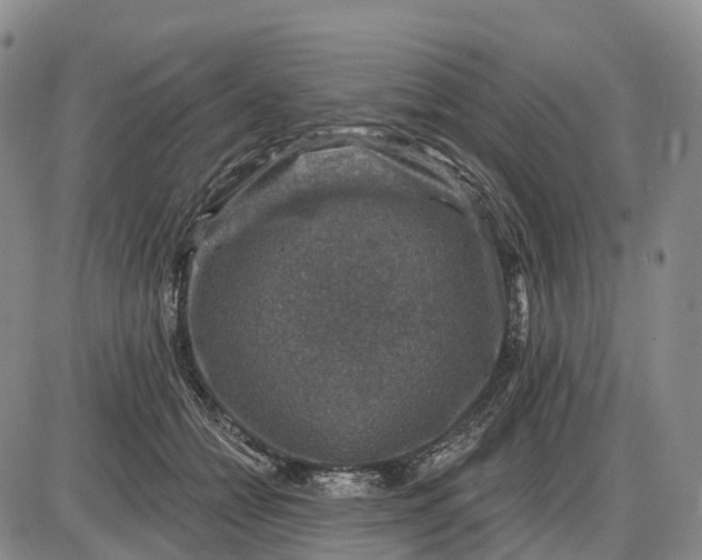 X0000085260558200703231718