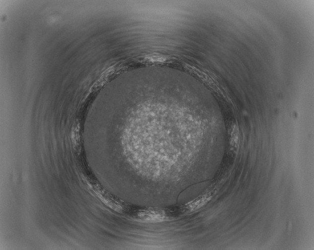 X0000085260559200703231718