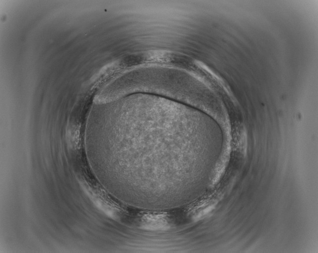 X0000085260560200703231718