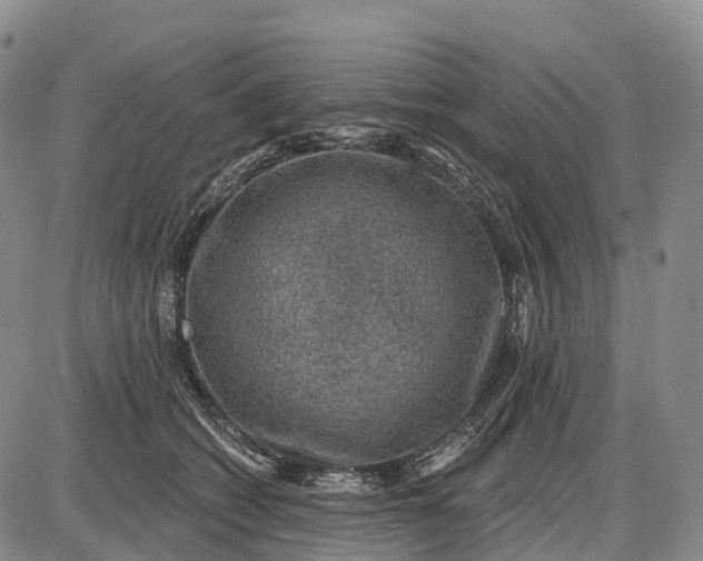 X0000085260562200703231718