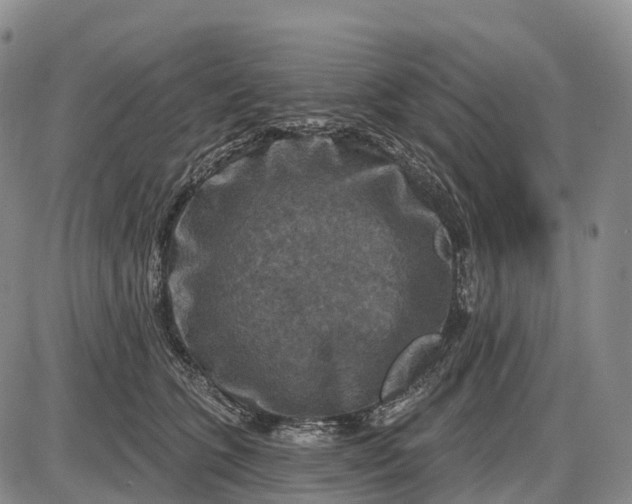 X0000085260563200703231718