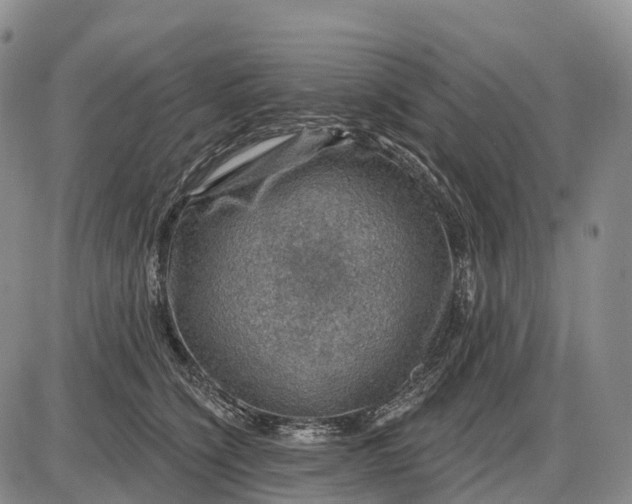 X0000085260564200703231718