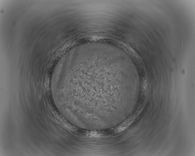 X0000085260565200703231718