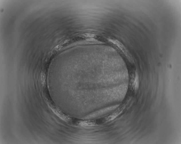 X0000085260568200703231718