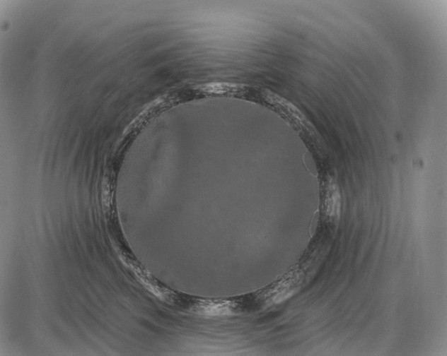 X0000085260569200703231718