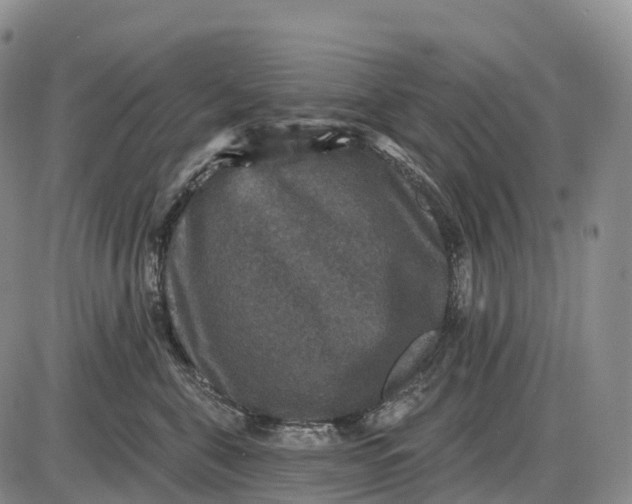 X0000085260571200703231718