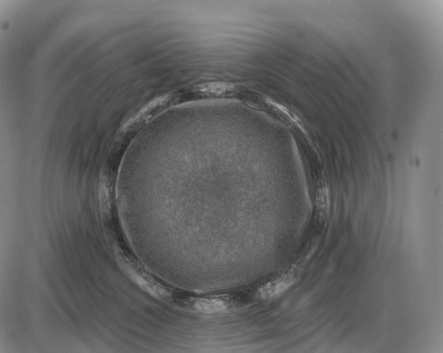 X0000085260572200703231718