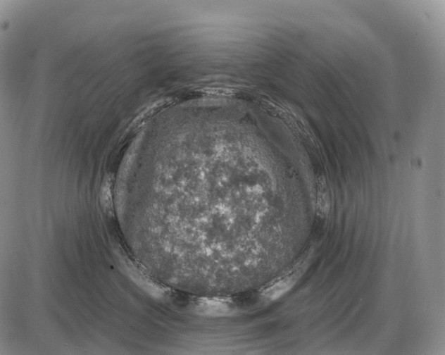 X0000085260573200703231718