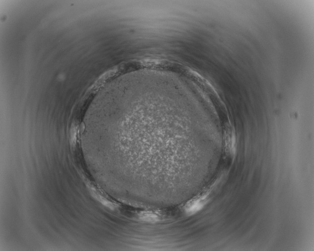 X0000085260574200703231718