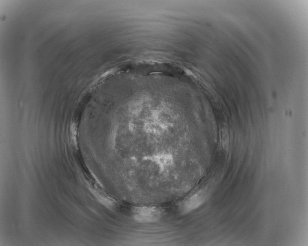 X0000085260575200703231718