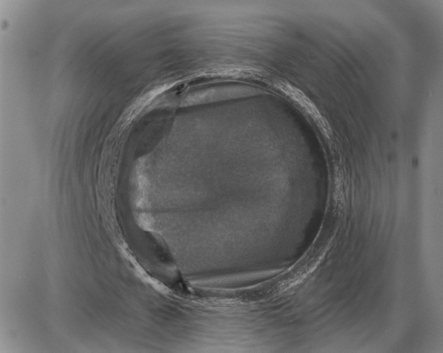 X0000085260577200703231717