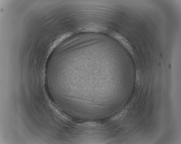 X0000085260578200703231717