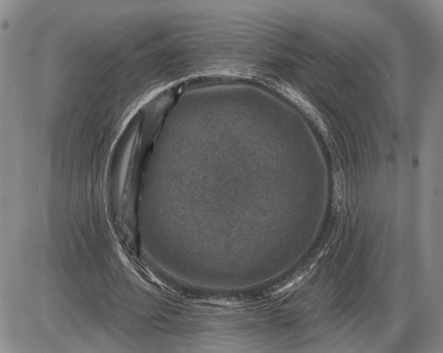 X0000085260580200703231717