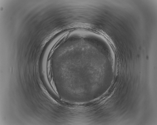 X0000085260581200703231717