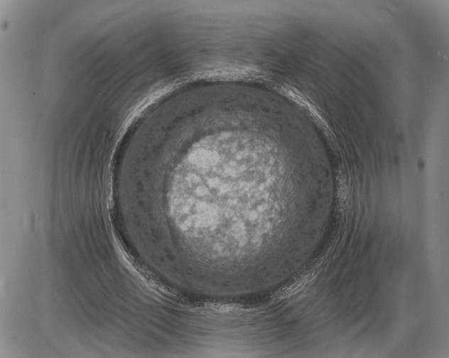 X0000085260582200703231717