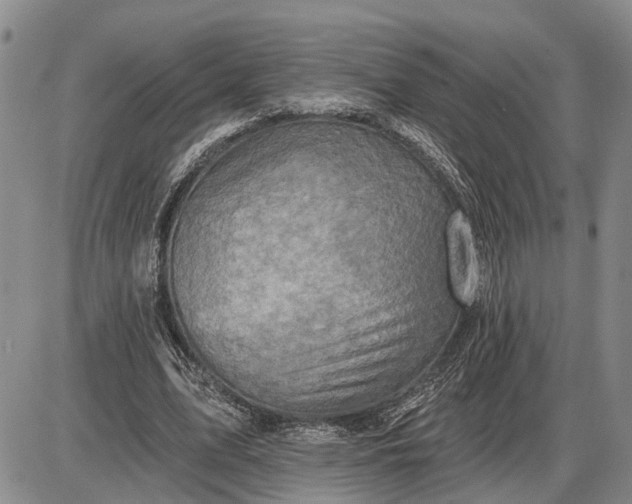 X0000085260583200703231717