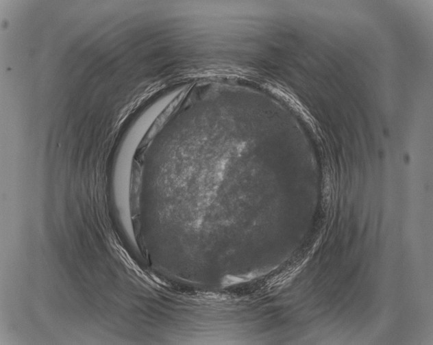 X0000085260585200703231717