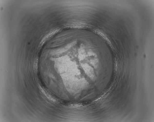 X0000085260586200703231717