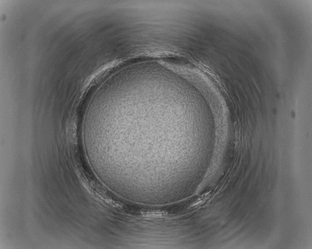 X0000085260587200703231717