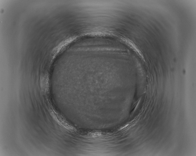 X0000085260588200703231717